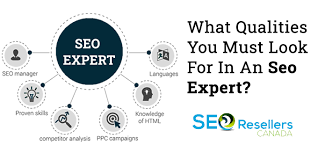seo expert