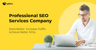 seo professional services