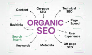 organic seo