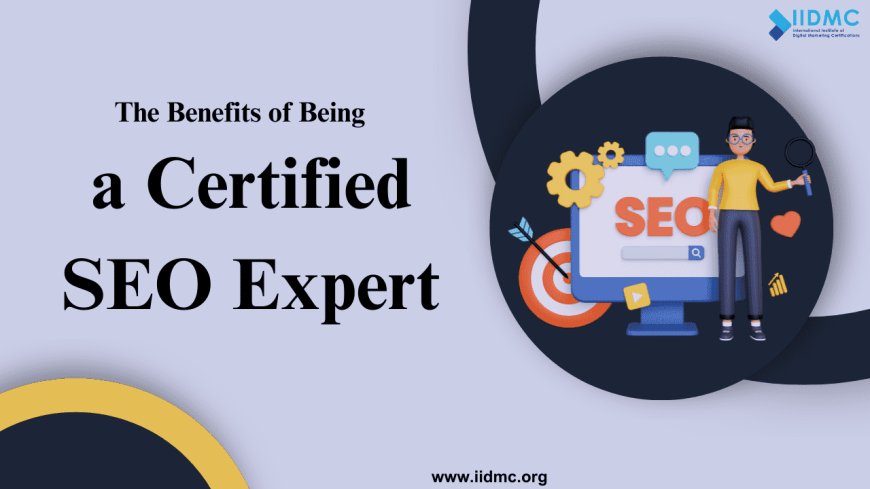 expert in seo
