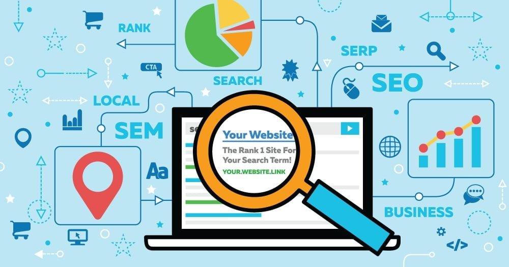 seo expert website